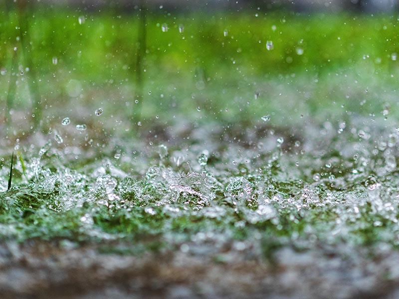 Closeup of rain falling onto a flooded lawn.